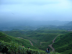 View of Mount Halimun