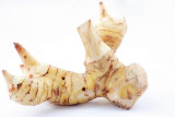 Galangal