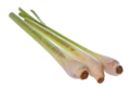 Lemon Grass