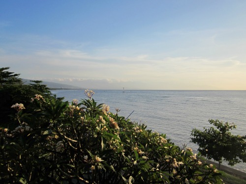 Serene view of Lovina Beach