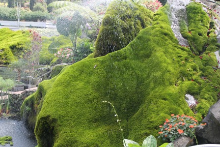 Selecta Entrance with green hills Selecta Entrance with green hills