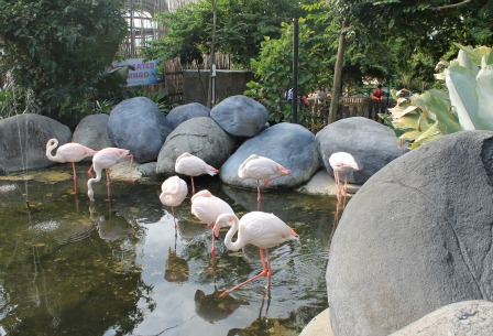 Jatim Park Zoo